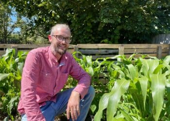 Minstrel Gardening Services