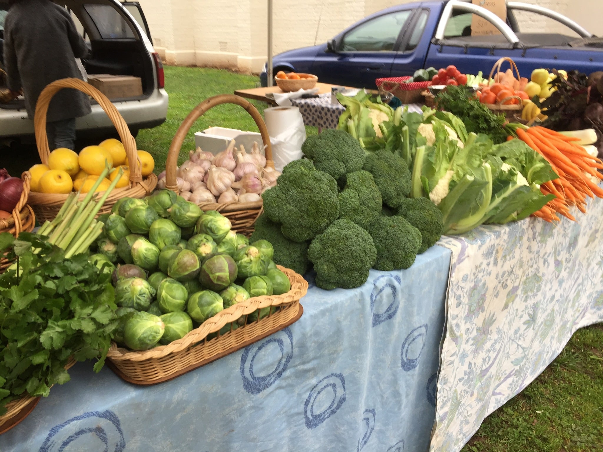 westbury market with fresh vegetables for sale on a market stall bench. Vegetables inclde broccoli, garlic, cauliflower and brussel sprouts