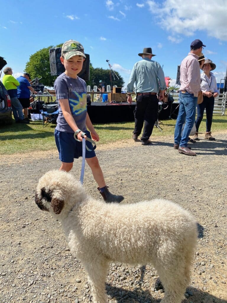 boy with pet lamb walking along at the Westbury Show