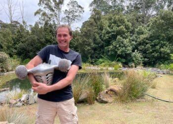 Tim Whiteley holding a movie prop helmet in front of his natural swimming pool at his hopme in Golden Valley