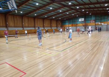 pickleball image of court