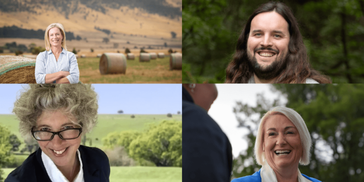 Your vote for Lyons 2025: Meet the candidates