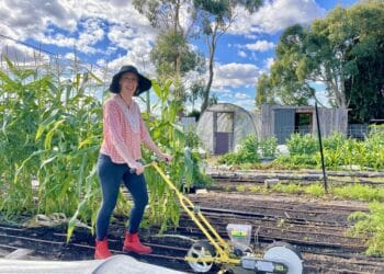 The Great Green - Leah Case in her urban garden