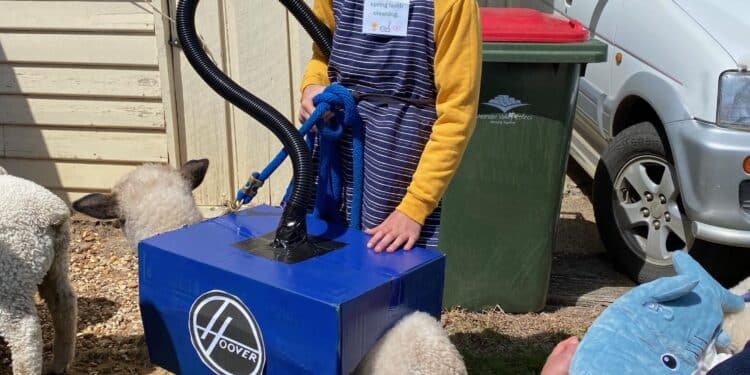 2025 Westbury Show will be held 8 November