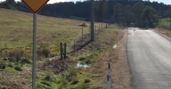 Wildlife on local roads - road signage on Quamby Brook road in the Meander Valley