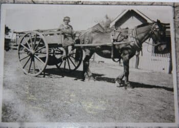 One-eyed Mrs Brown and the willow peg trade