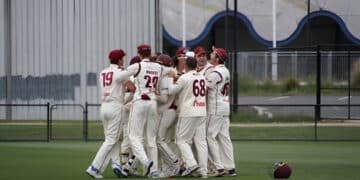 Westbury Shamrocks players celebrate after a wicket in their recent Launceston cricket match.