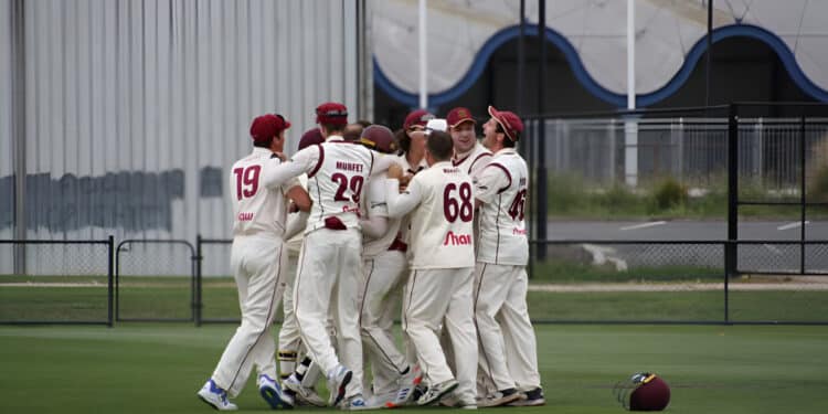 Westbury Shamrocks players celebrate after a wicket in their recent Launceston cricket match.