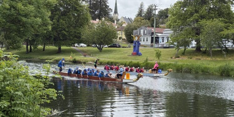dragon boat racing on the Meander River