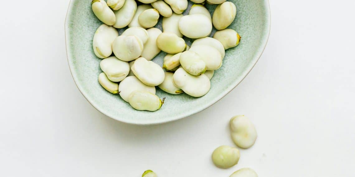 Gardening in April - Broadbeans