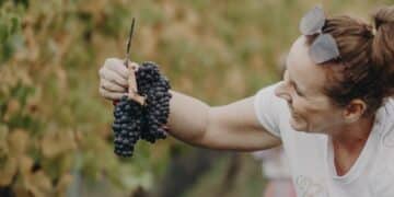 Meander Valley Vineyard is participating in TrailGraze 2026. Photo credit Alivia Rose