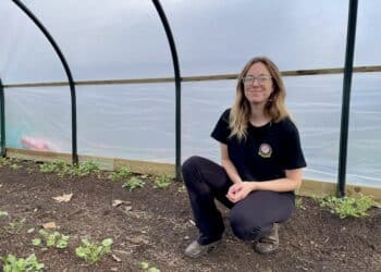 Chevi Robnik stands in her polytunnel, ranunculus growing in the beds beside her. Poetry in Petals