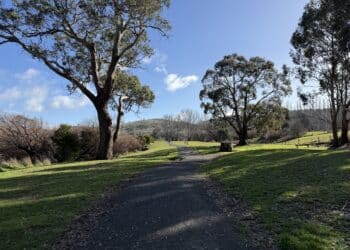 A walk near the river at South Esk Lions Park in Hadspen. Photo by Tim Freeman.