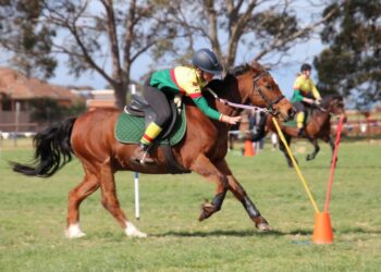 Ruby Atkins competes on a bay horse. Photo credit Alana Atkins.