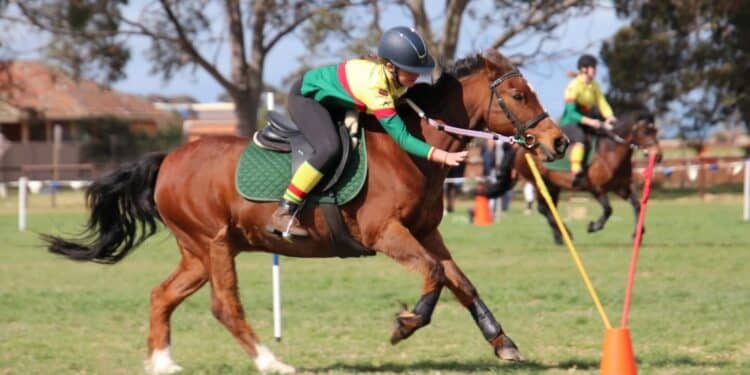Ruby Atkins competes on a bay horse. Photo credit Alana Atkins.