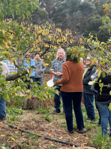 Permaculture event at Elvenhome in Weegena. People milling around an orchard in early winter with two people in the centre talking.