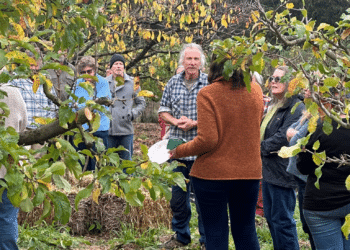 Permaculture event at Elvenhome in Weegena. People milling around an orchard in early winter with two people in the centre talking.