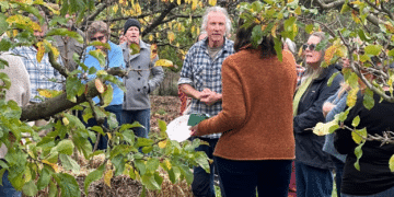 Permaculture event at Elvenhome in Weegena. People milling around an orchard in early winter with two people in the centre talking.