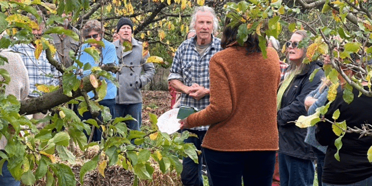 Permaculture event at Elvenhome in Weegena. People milling around an orchard in early winter with two people in the centre talking.